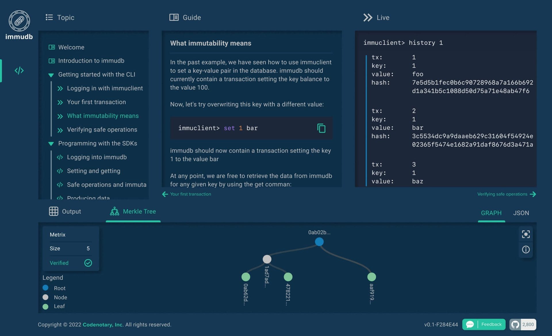 ImmuDB software screenshot