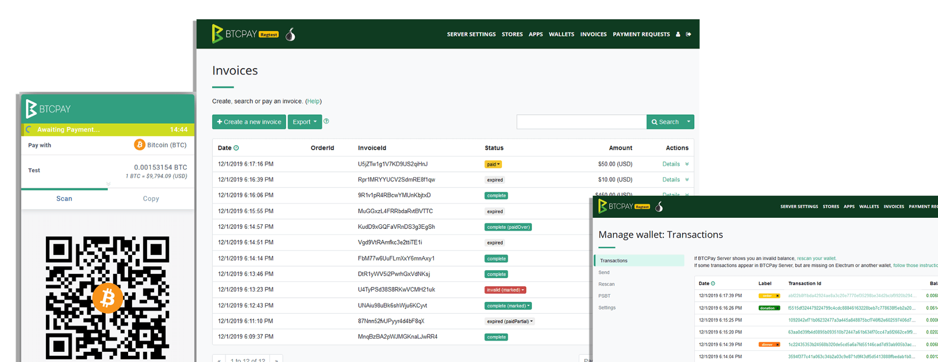 BTCPay software screenshot