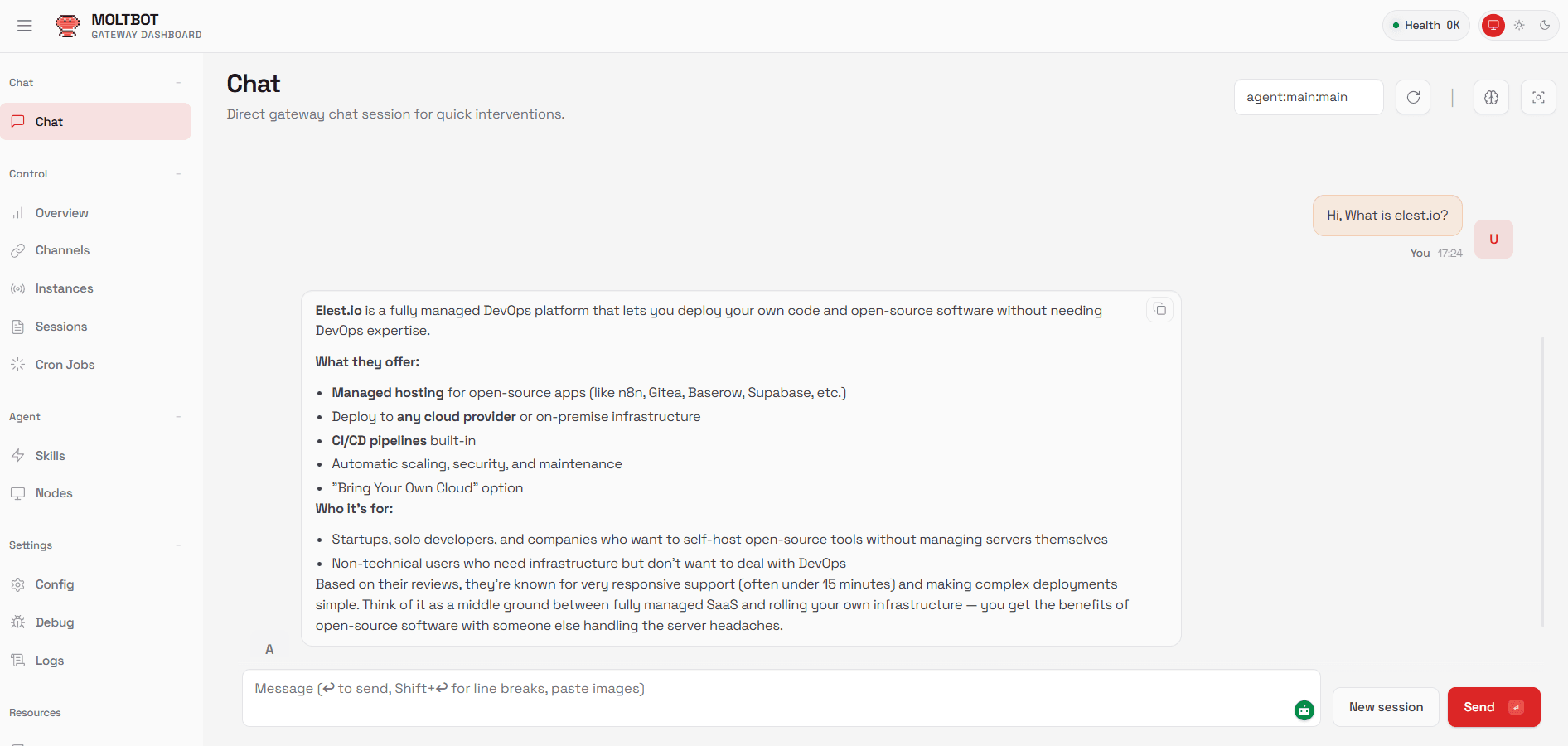 Moltbot software screenshot