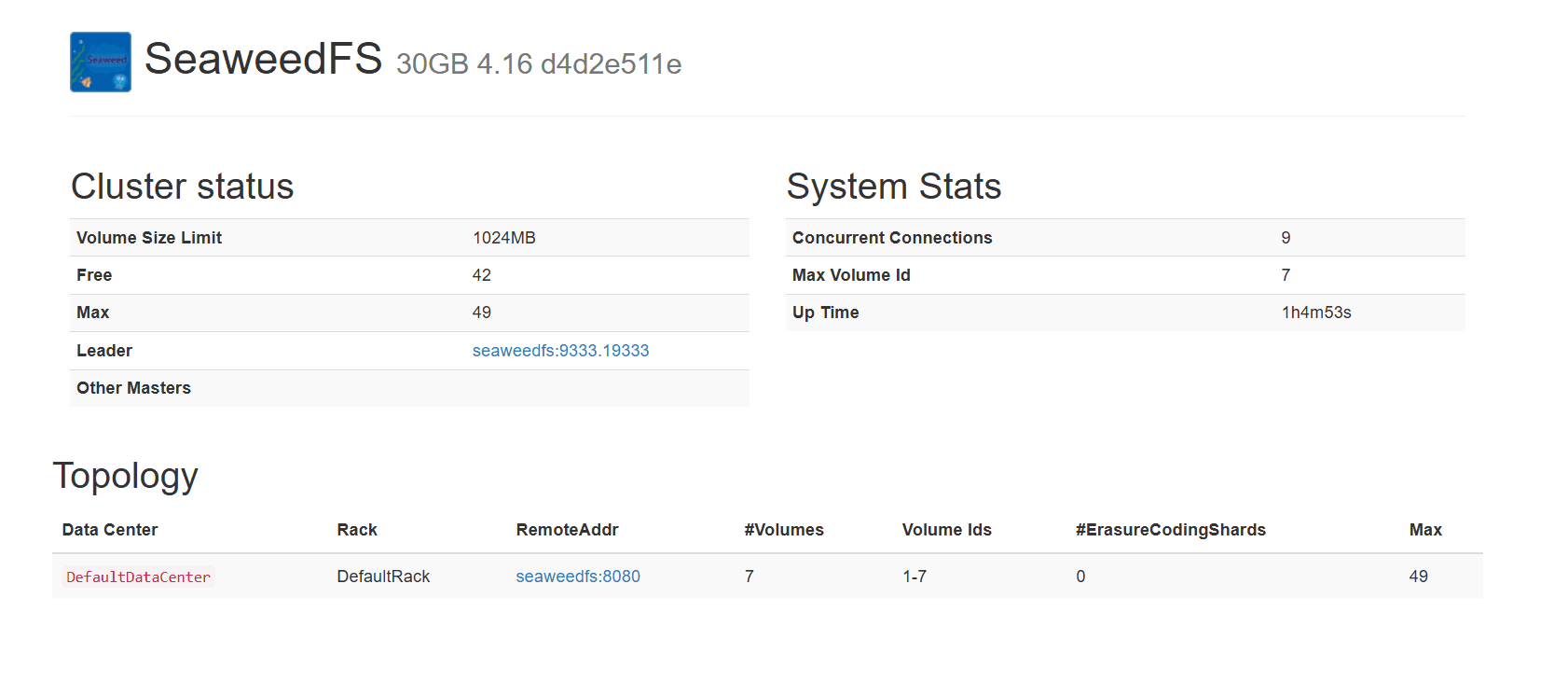 SeaweedFS dashboard screenshot
