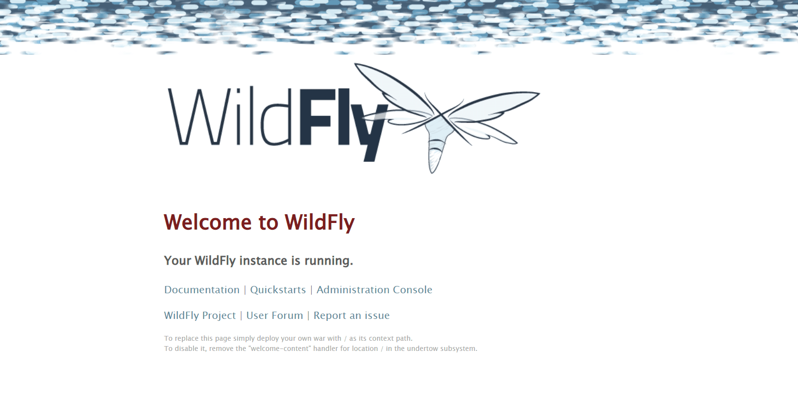 WildFly dashboard screenshot