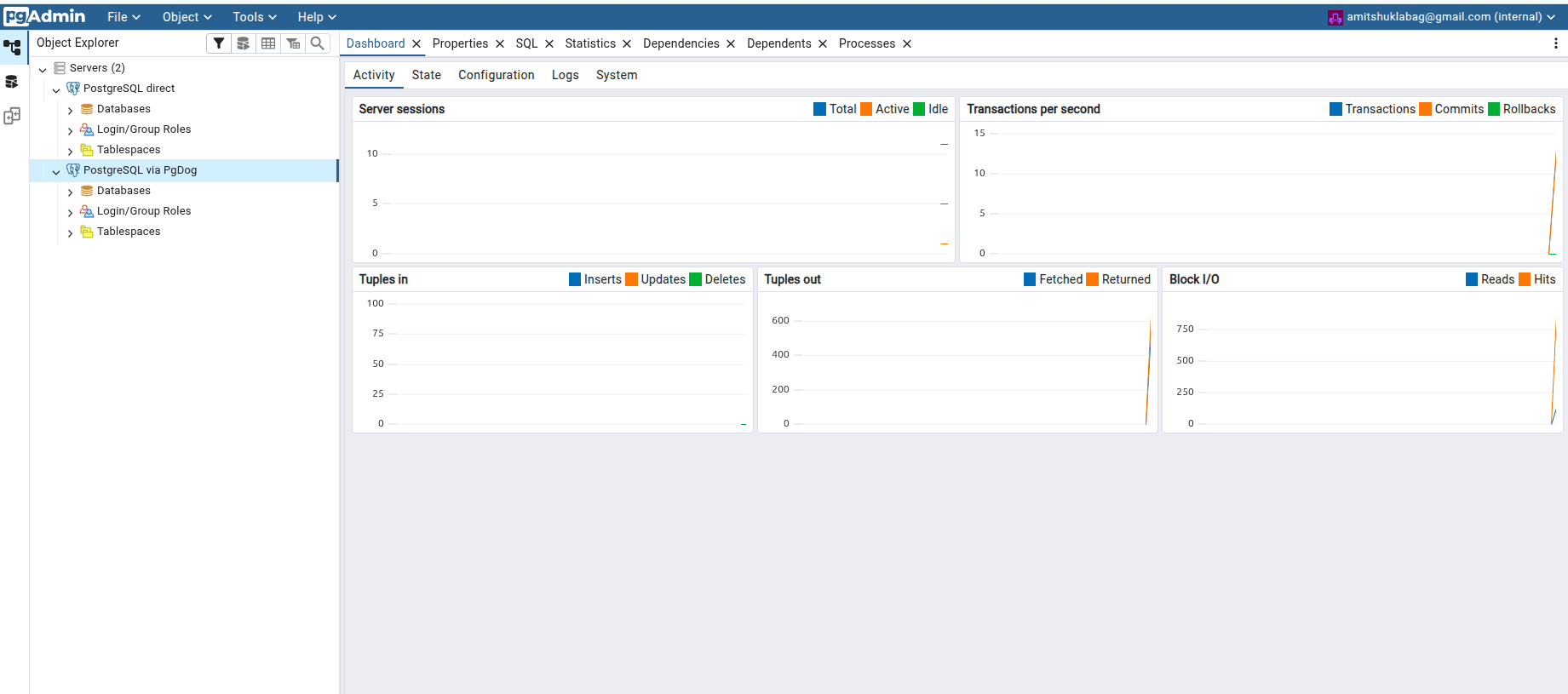 PgDog software screenshot