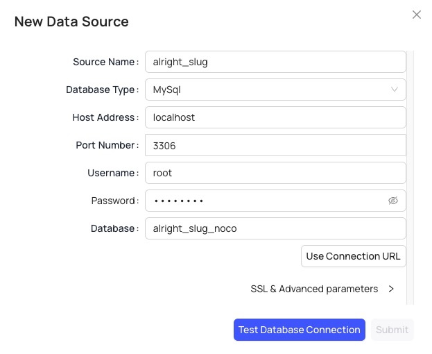 NocoDB data source screen