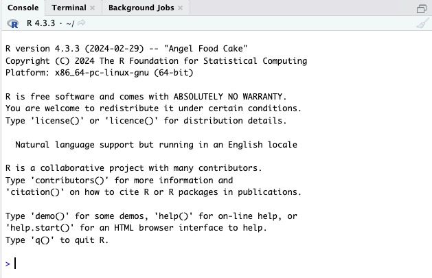 RStudio console screen