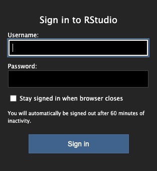 RStudio login screen