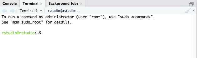 RStudio terminal screen