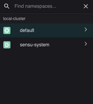 Sensu namespaces screen